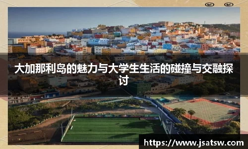 大加那利岛的魅力与大学生生活的碰撞与交融探讨